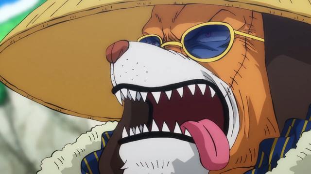 海贼王奎因和烬凭什么教训杰克看杰克的战绩凯多都自愧不如