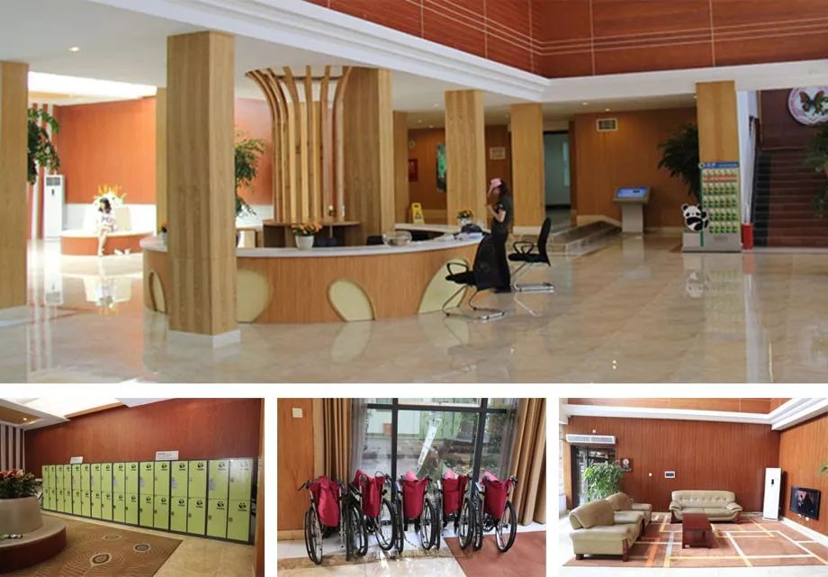 成都轻旅行提案 | 一天玩转熊猫基地 67