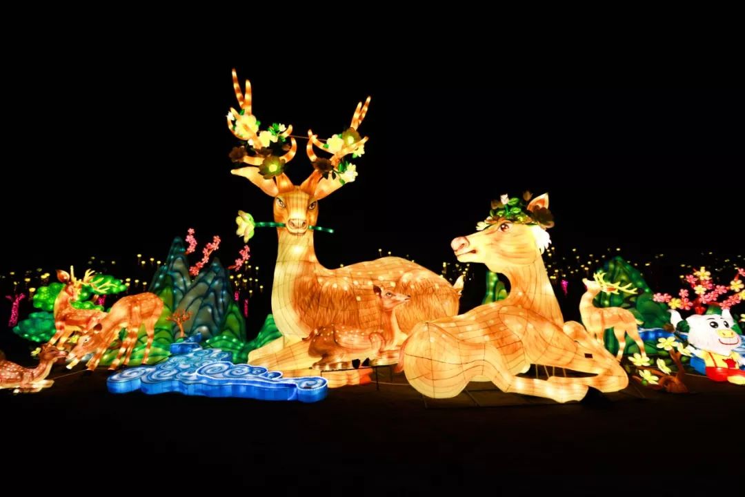 和小动物们亲近的好场所白天的鹿溪牧场简直是鹿溪牧场潮妹儿拍着胸脯