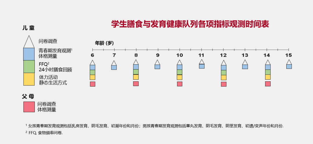 膳食调查(学校)3日24小时膳食回顾-食物频率问卷膳食调查(居家)设计并