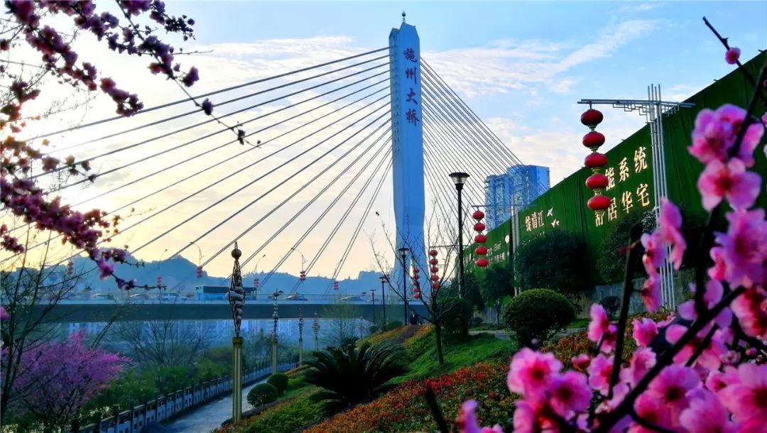 重点,相继建成七里坪公园,耿家坪公园,红庙社区公园,金山大桥桥头公园
