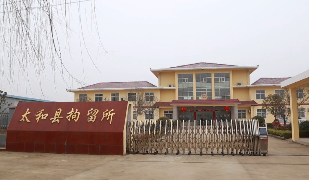 张某,武某等三人行政拘留五日的处罚被太和县公安局依法处以再次赌博