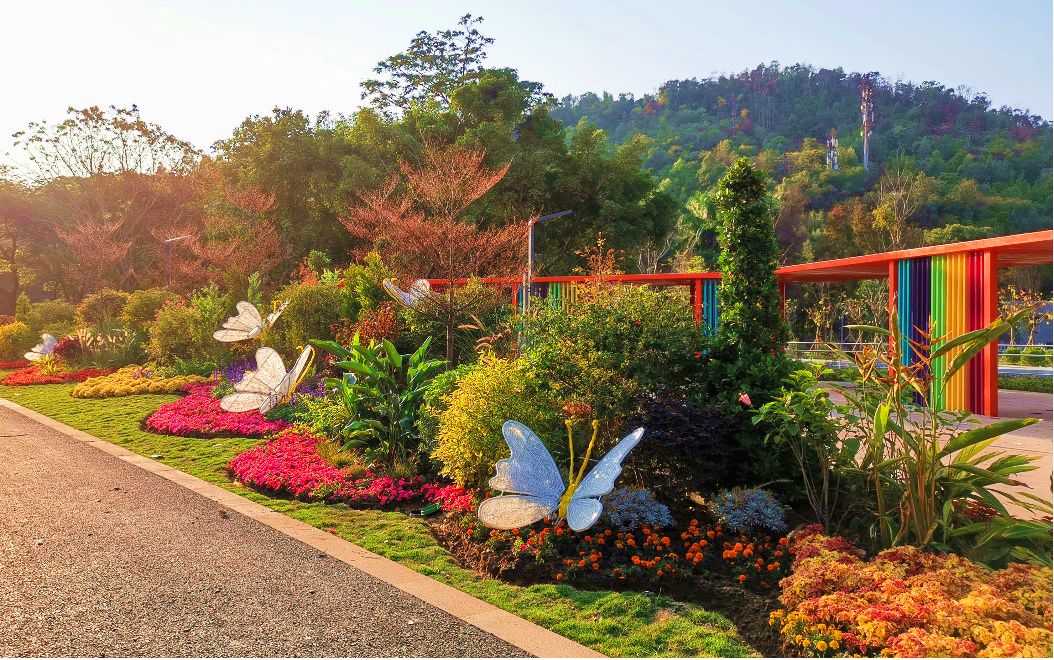 顺德人跑半马有好去处了21公里将于今年3月全线开放