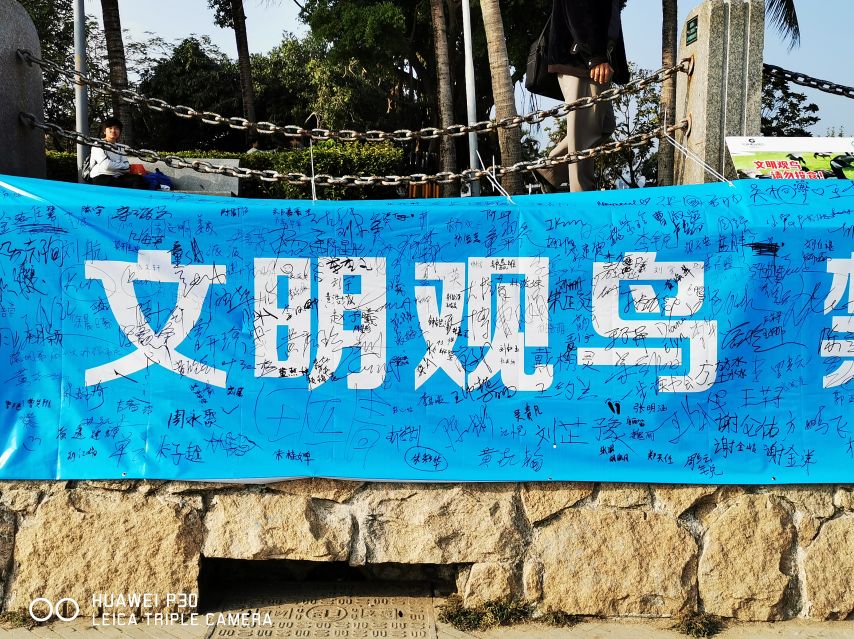 环保志愿者的心,2019年初,深圳市蓝色海洋环境保护协会发出"文明观鸟