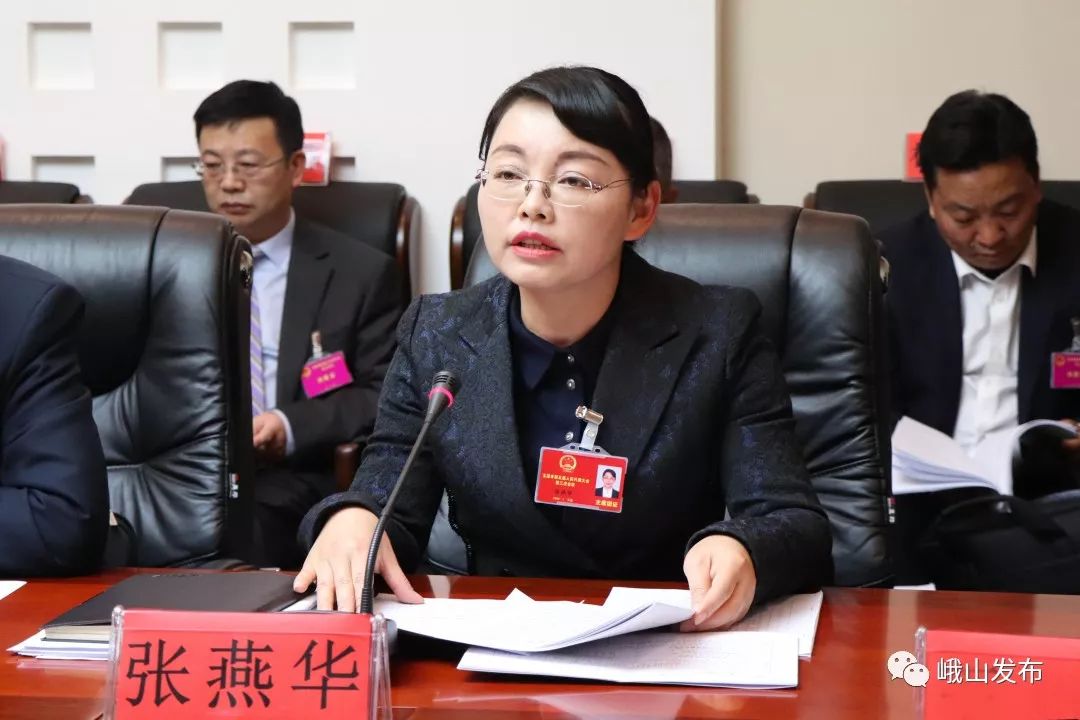 出席市五届人大三次会议的峨山代表团热议市政府工作报告