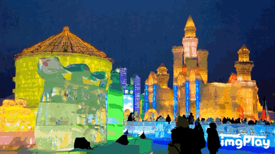 560_315gif 动态图 动图