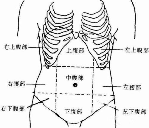 左小腹图片