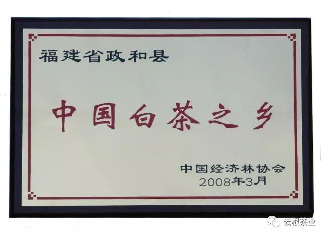 中国白茶核心产区政和白茶史梗概