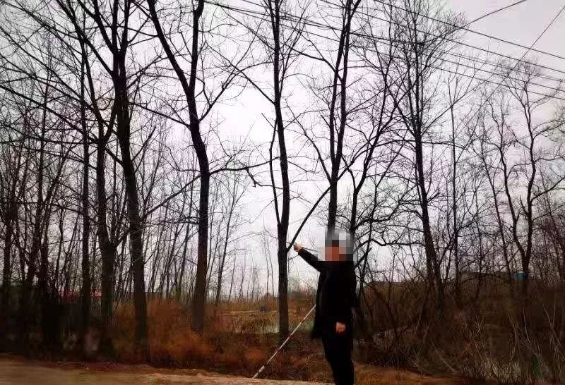 弹弓不能这样玩这下砸蛋了吧