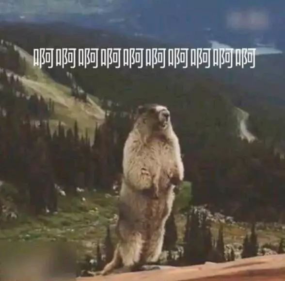 声入人心鼠土拨鼠年度最悲情的主鼠公:竹鼠.