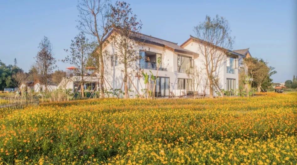 溪地阿兰若度假村落住进乡野民宿把生活过成诗