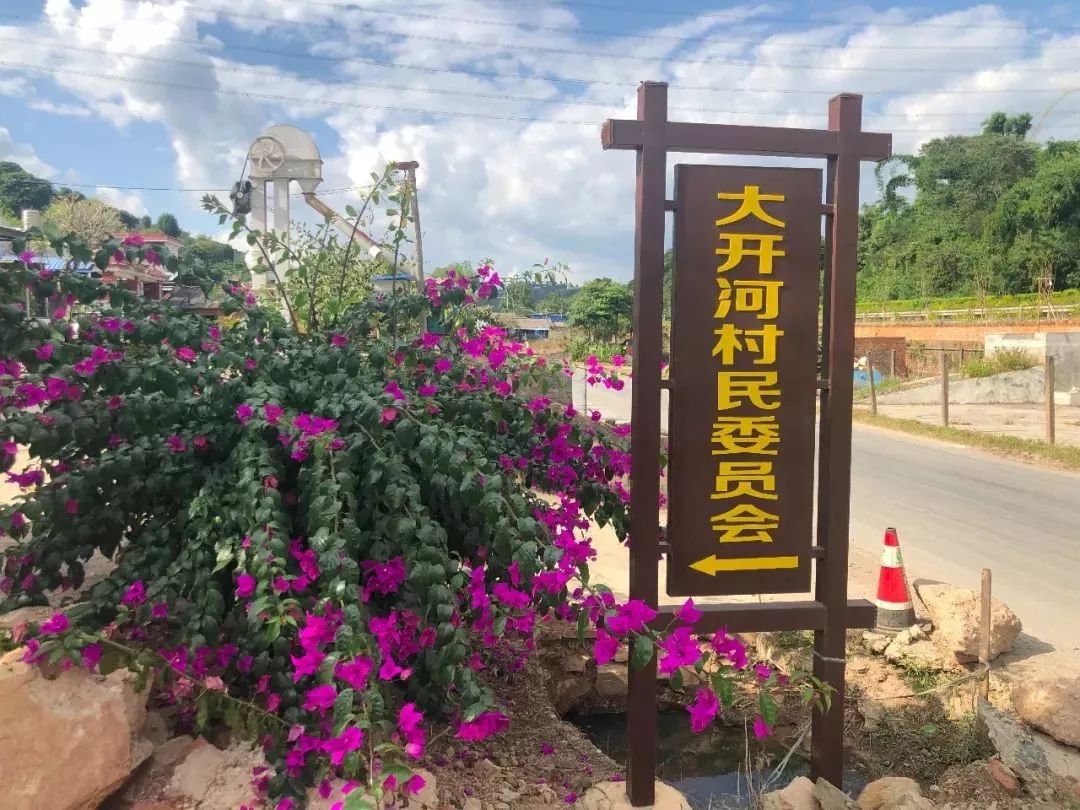 据大开河村村委会干部介绍,过去大开河村是一个典型的贫困村,在发展