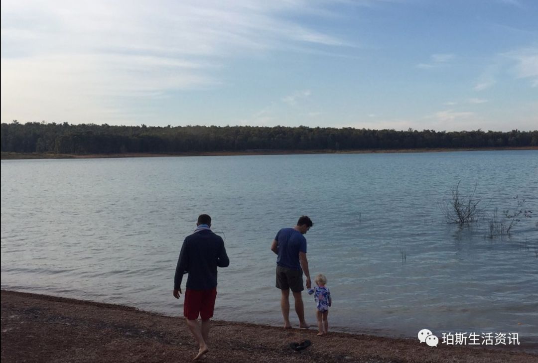 "raising phoenix"浴火凤凰