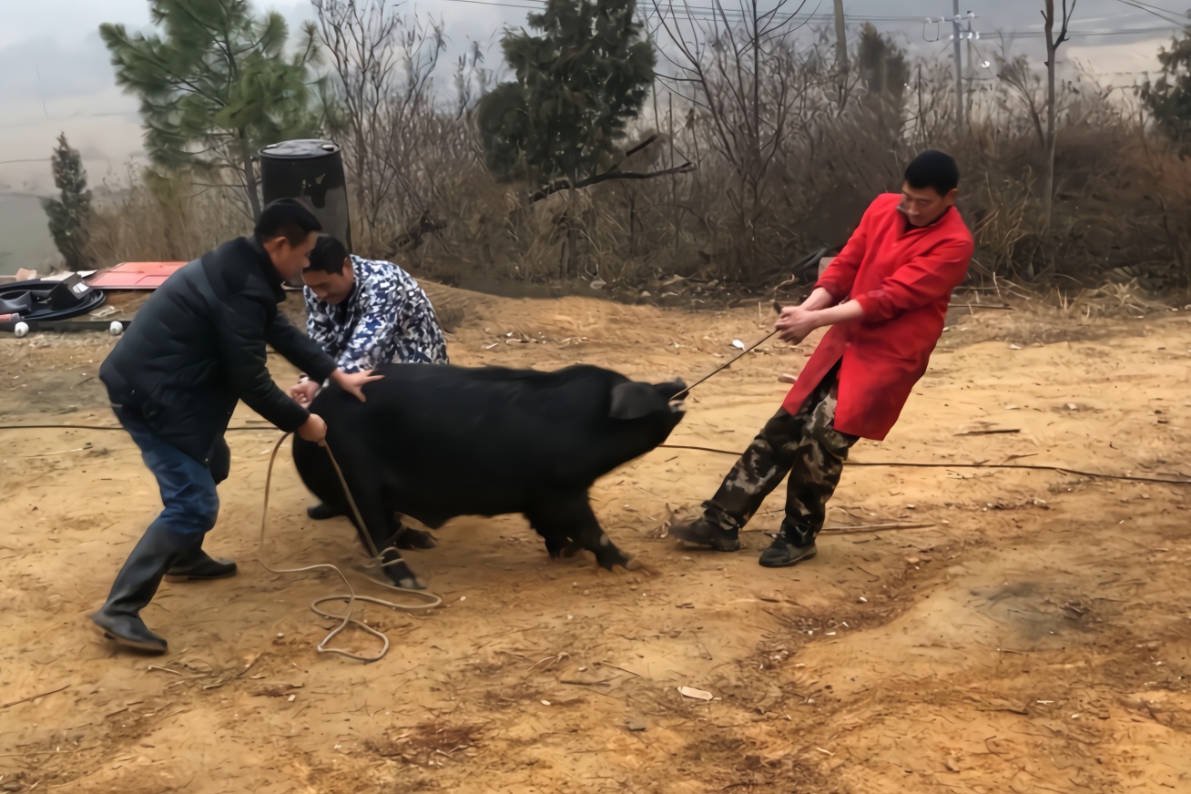 原创为什么年味越来越淡了