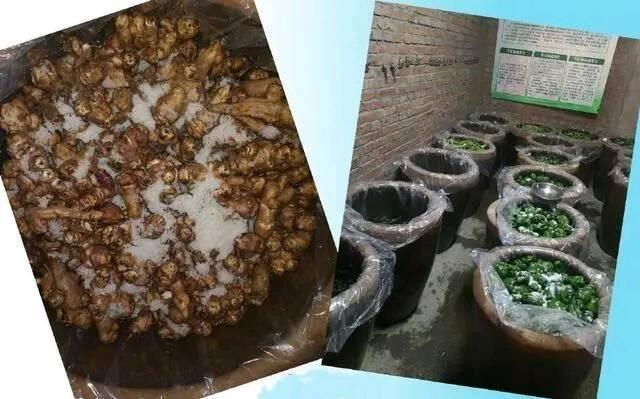 白菜整齐划一,大蒜拉线标齐,佩服_蔬菜