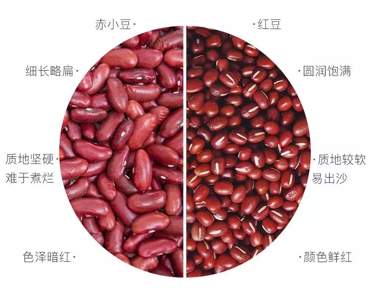 红豆和赤小豆对比图片