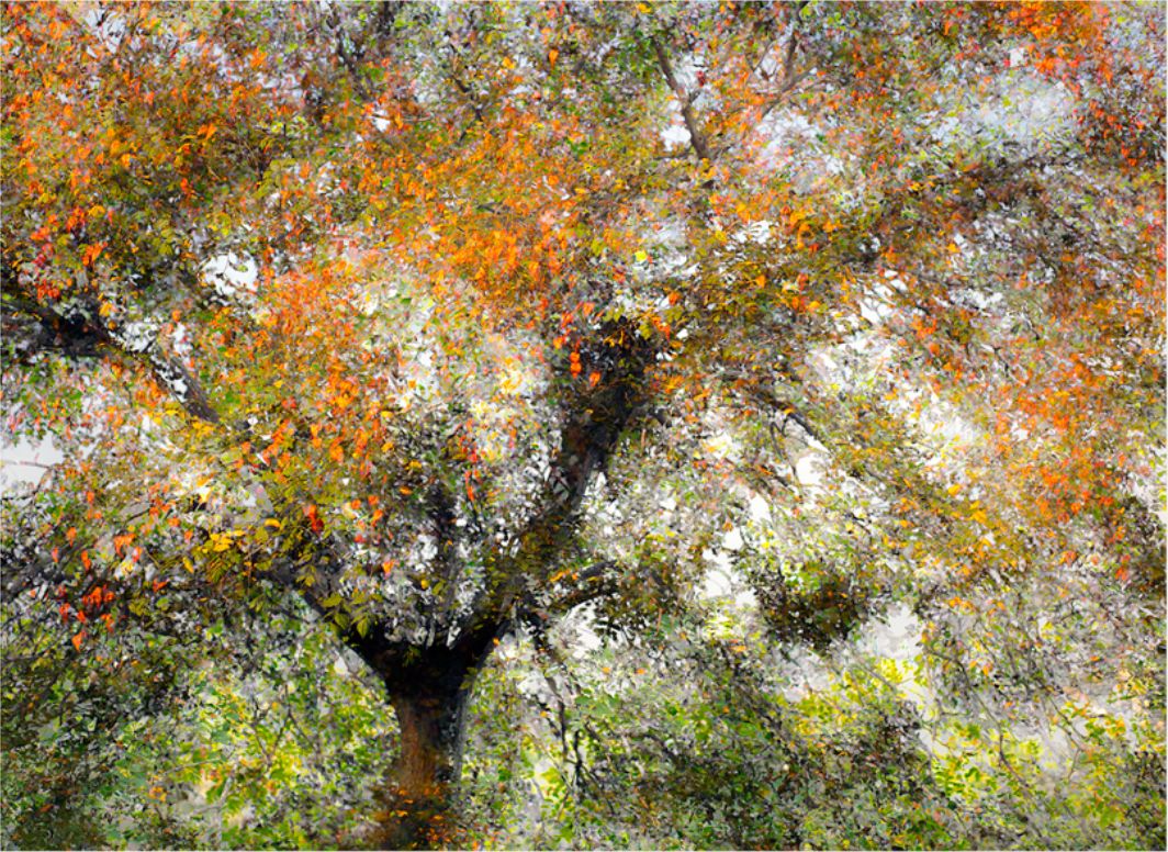 把多重曝光玩到如此境界,印象派大师都服了!_摄影