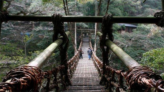 国外那些吓人的桥你得亲眼看看才能相信