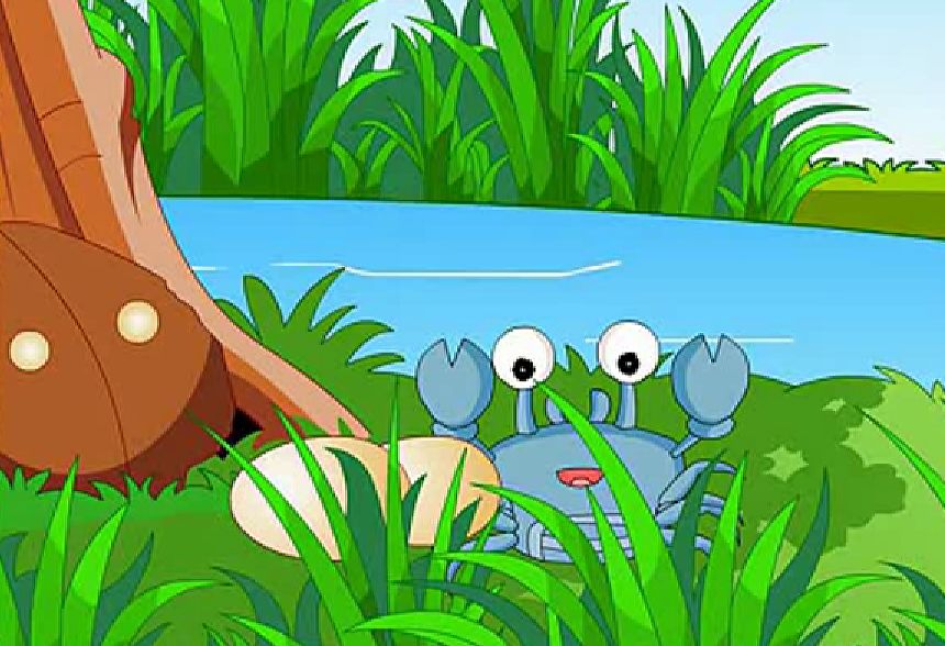 铜仁主播说第231期蛇和蟹