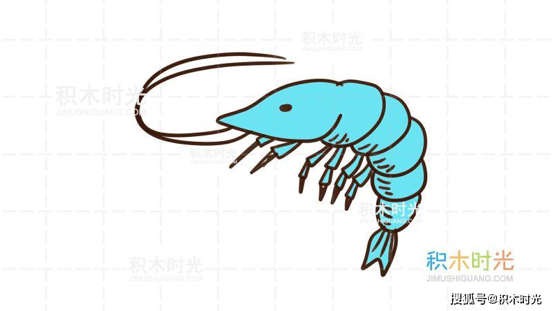 磷虾 简笔画图片