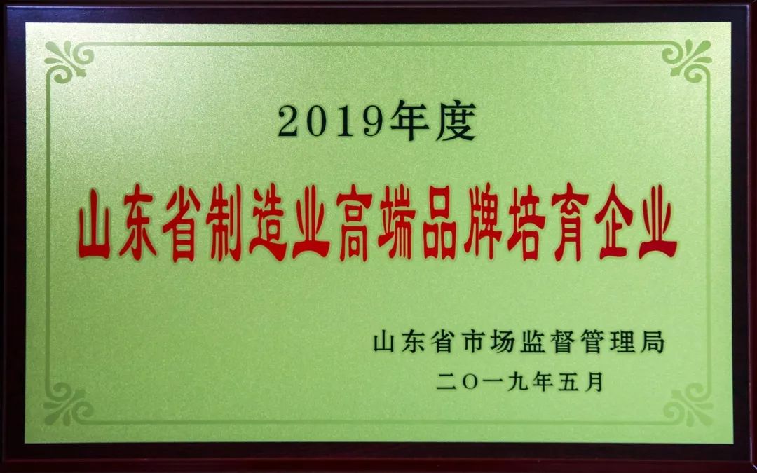 孚日集团2019我们与孚日一起勇毅笃行
