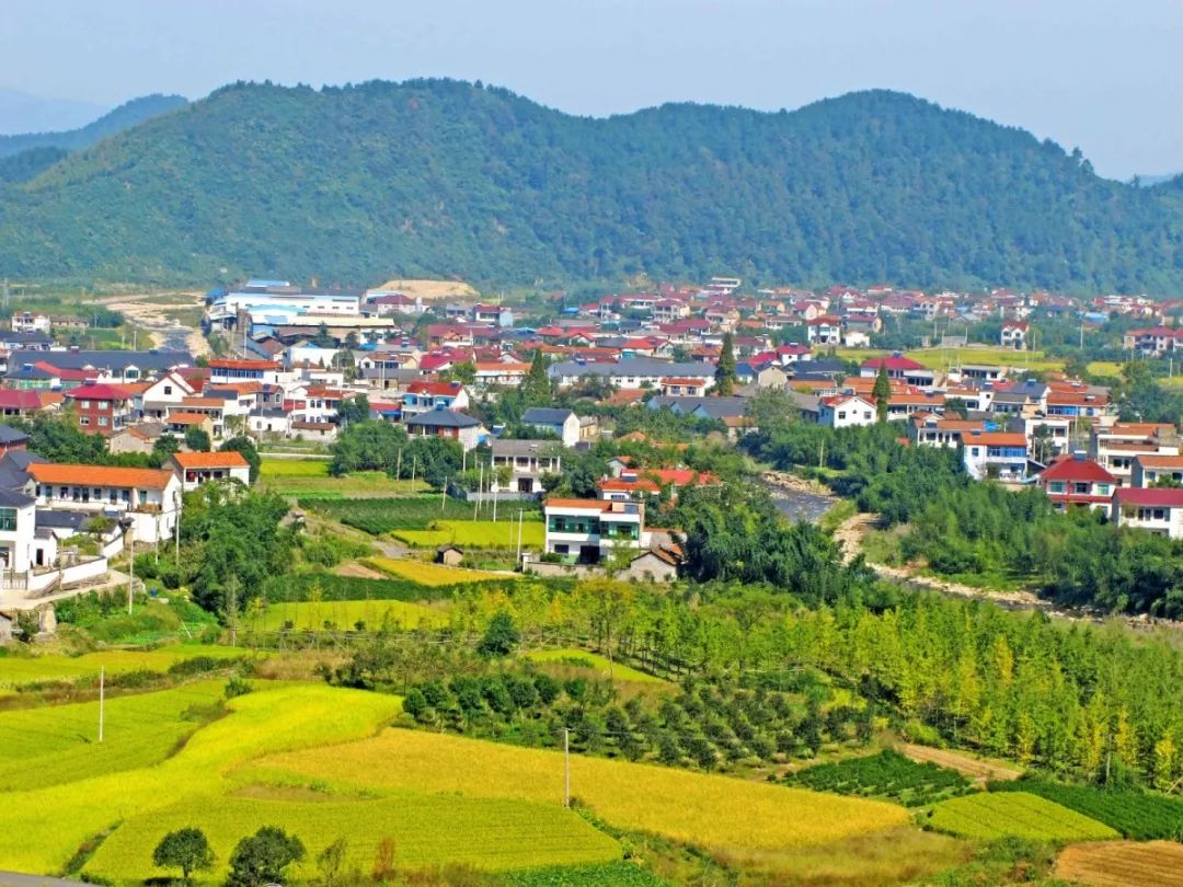 2019孝丰关键字:美_古镇