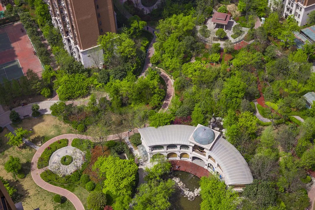 还在手机上集五福海马公园早已帮您集齐啦