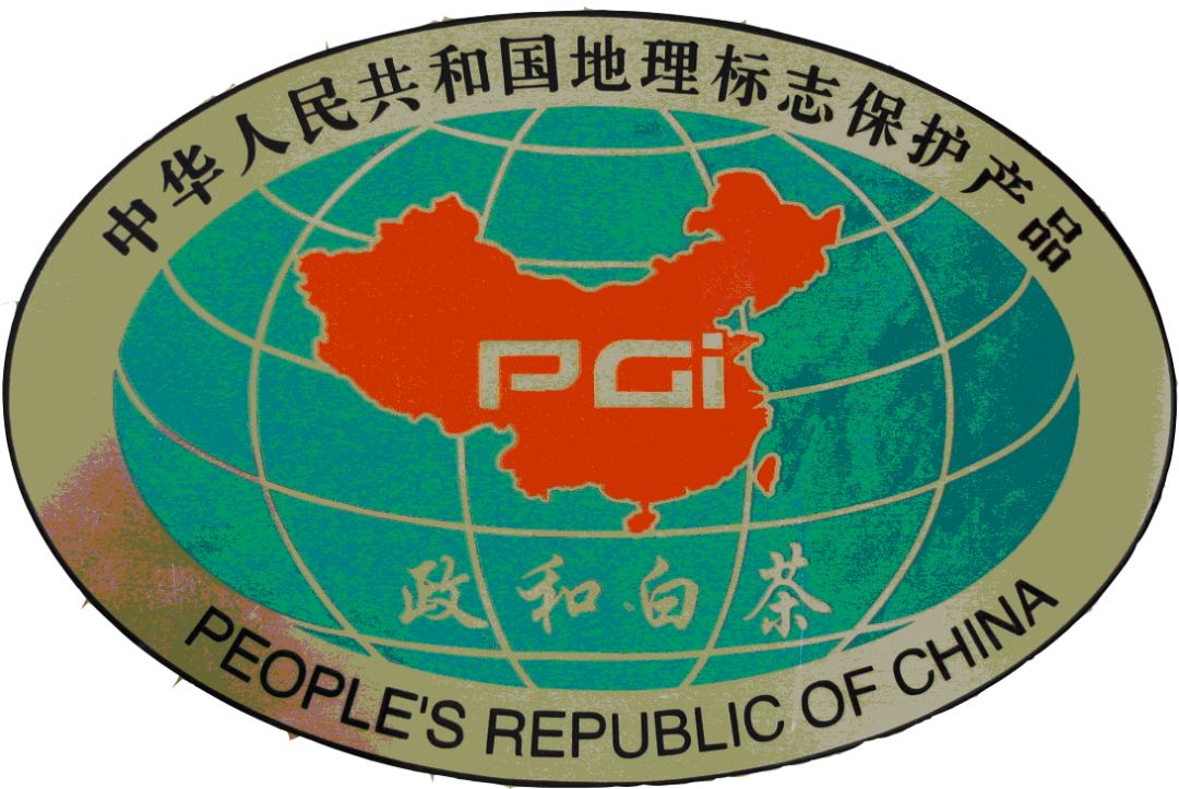 中国白茶核心产区政和白茶史梗概