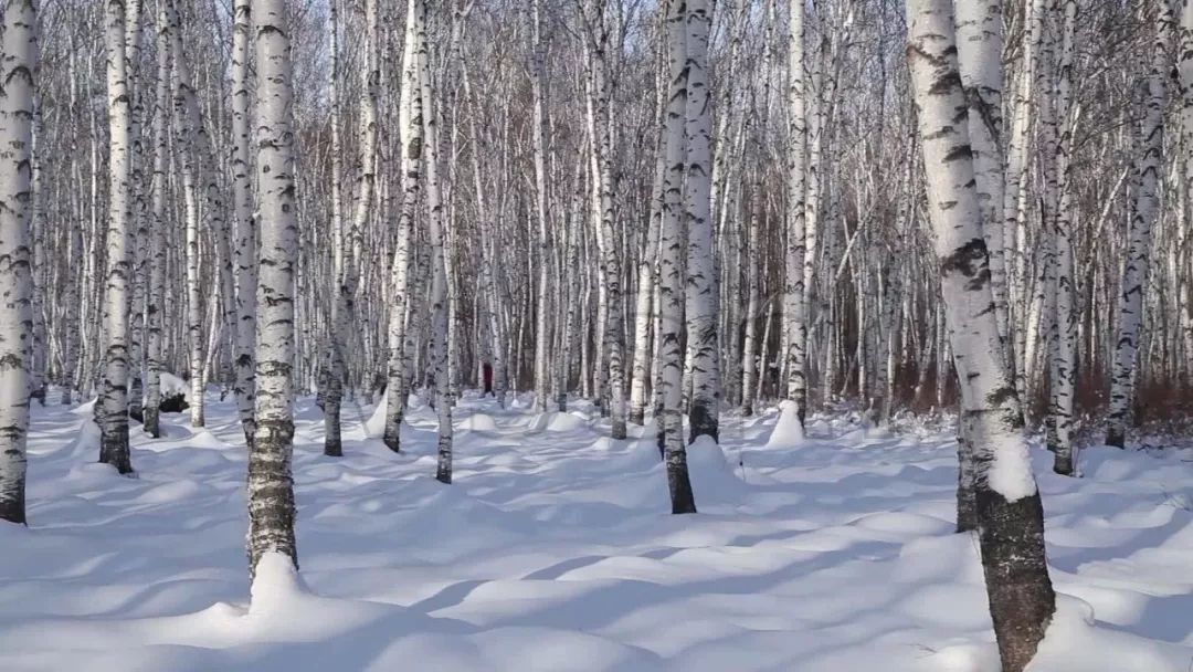 三位北大荒人关于雪的记忆