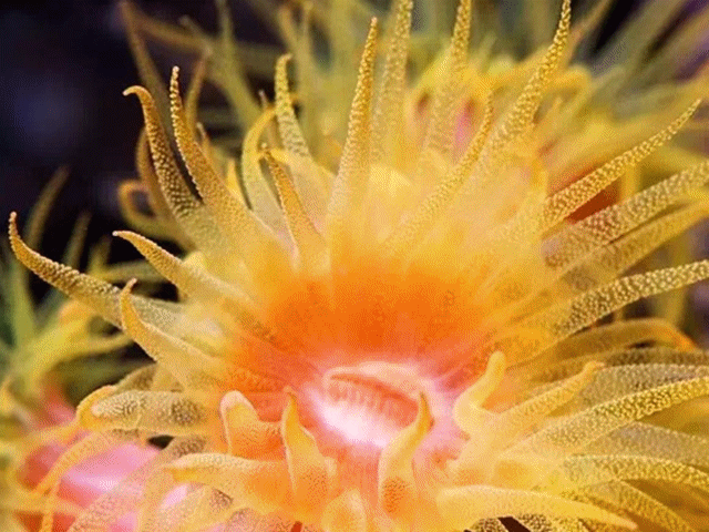 640_480gif 动态图 动图