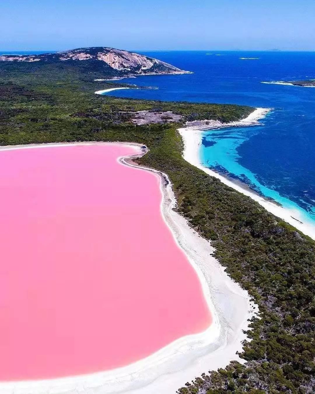 lake hillier应该是最出名的粉红湖之一,位于澳洲西南边最大岛屿