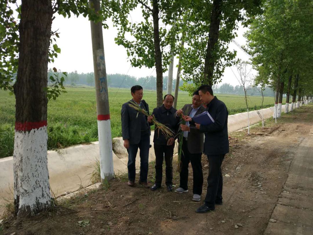 【我眼中的第一书记】把实事办在群众的心坎上——记息县杨店乡张围孜