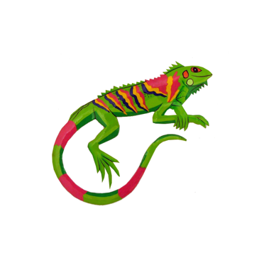 i/ iguana 蜥蜴