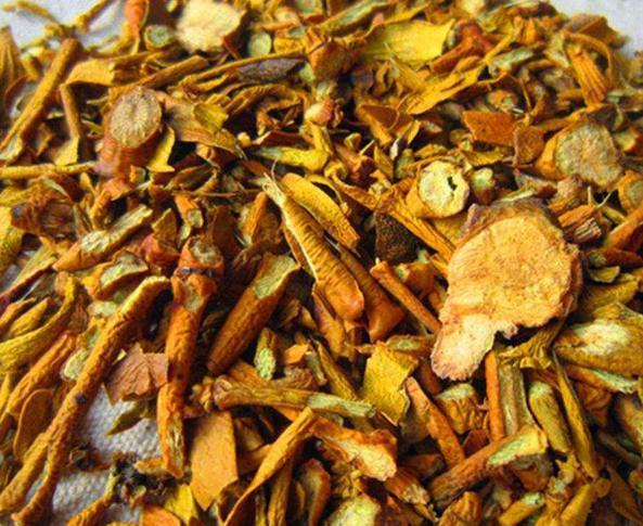 乡下树上一种"寄生草",人称"桑寄生",是名贵中草药,很珍贵