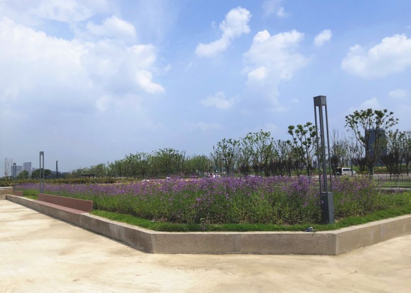好消息又添一处江边美景打卡地黄田港公园建成啦