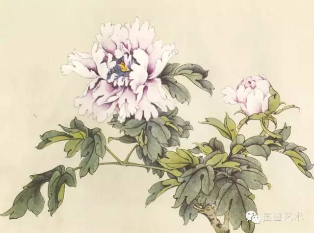 工笔勾勒花卉技法值得收藏