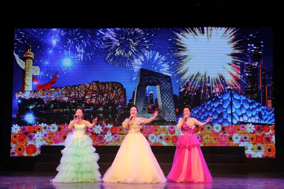 我们相逢在春天新长征艺术团新年演唱会