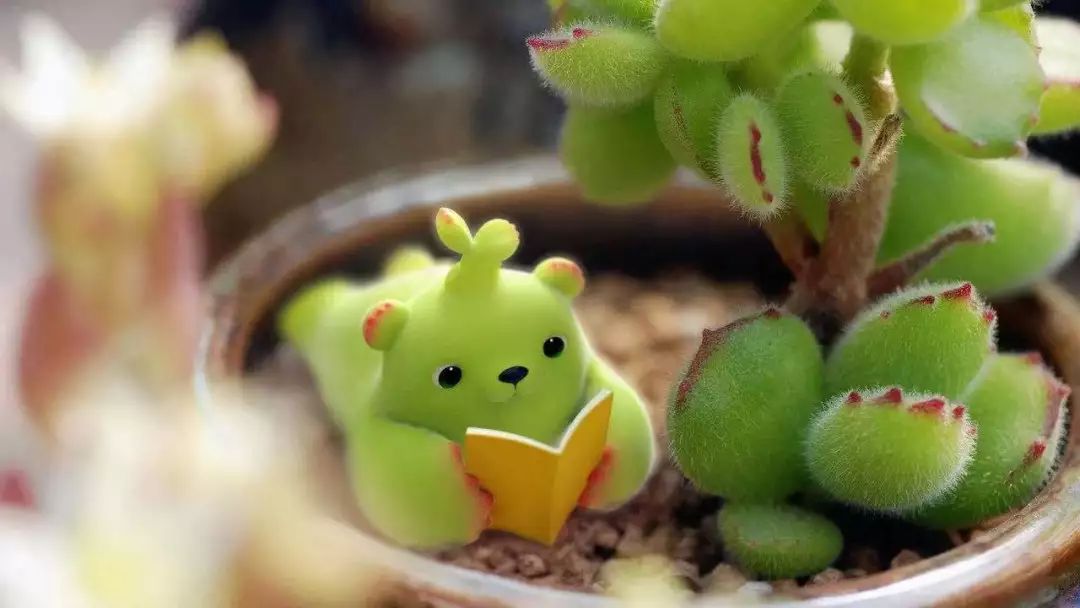 建国之后不许成精,你咋还光明正大混成了国民ip?