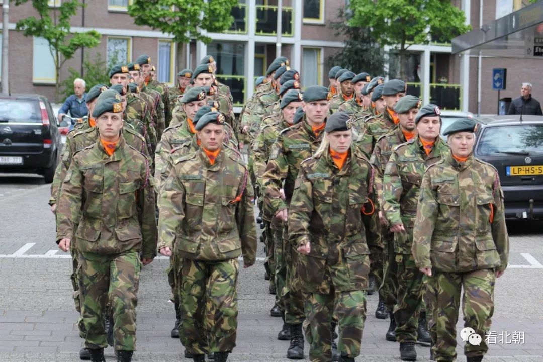 荷兰军服图片