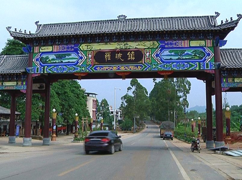 广西排名第五武鸣一镇通过广西百镇建设示范镇验收