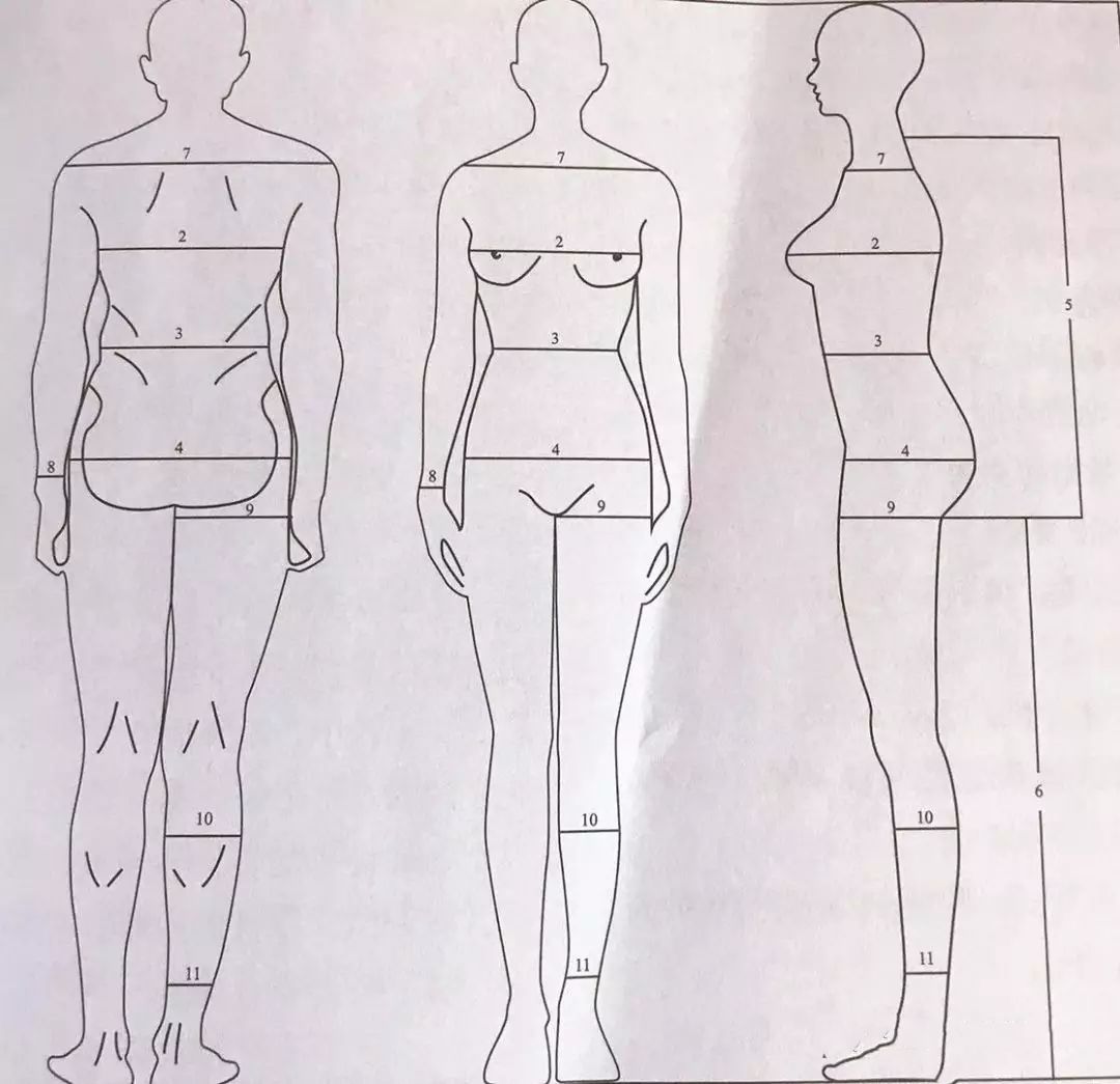 形体各部位测量方法1——身高2——胸围3——腰围4——臀围5——上身