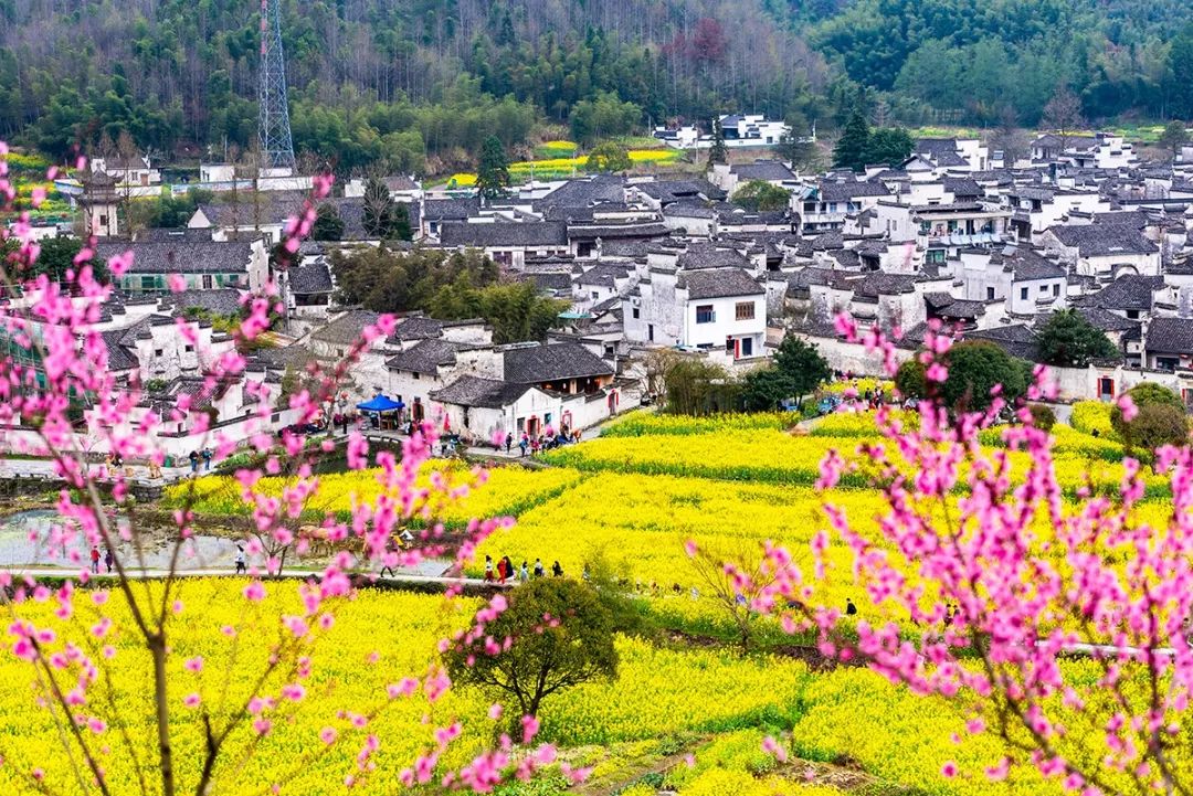 脍炙人口的《桃花源记》人人都能熟记心中,但是关于历史的"桃花源"