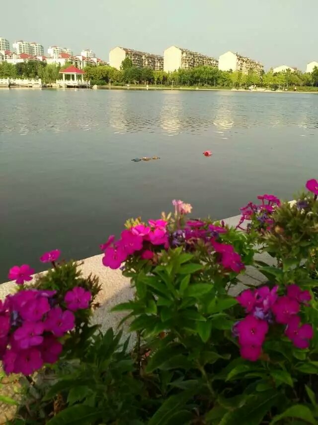 旷世奇人曹霑传:6,竺红玉冒名顶替曹頫之女进京选秀_雍正