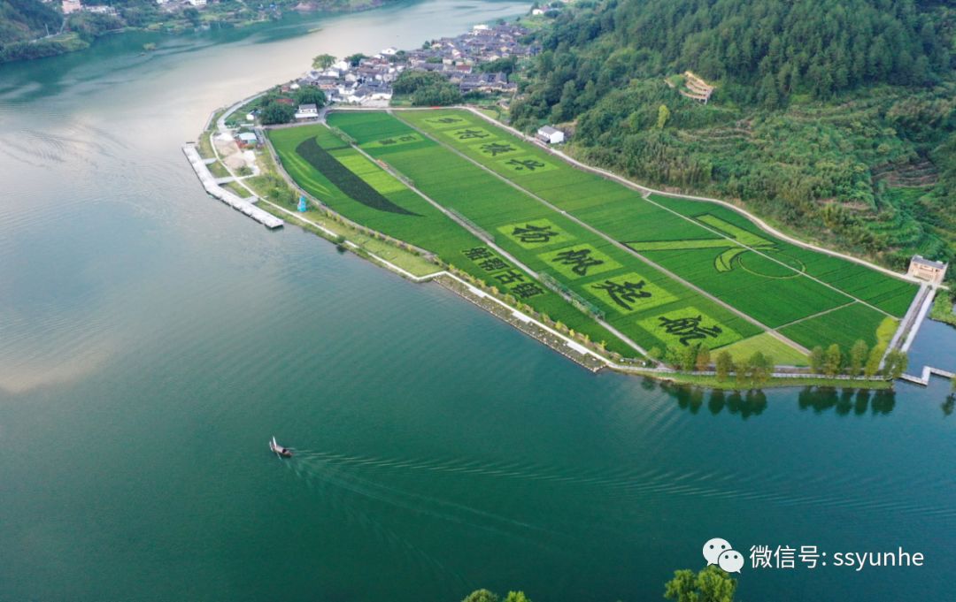 石浦村从花海世界到云和湖时代的变迁云和县全力打造水上文章助力乡村