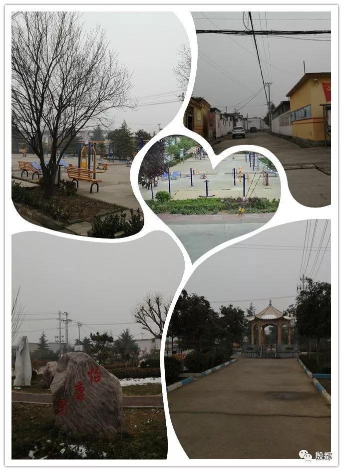 【关注】整乡推进 逐村观摩——曲沟镇开展第四季度"大观摩"活动暨