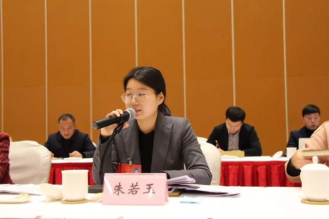 走进宿州代表团报告有理有据有详实数据支撑