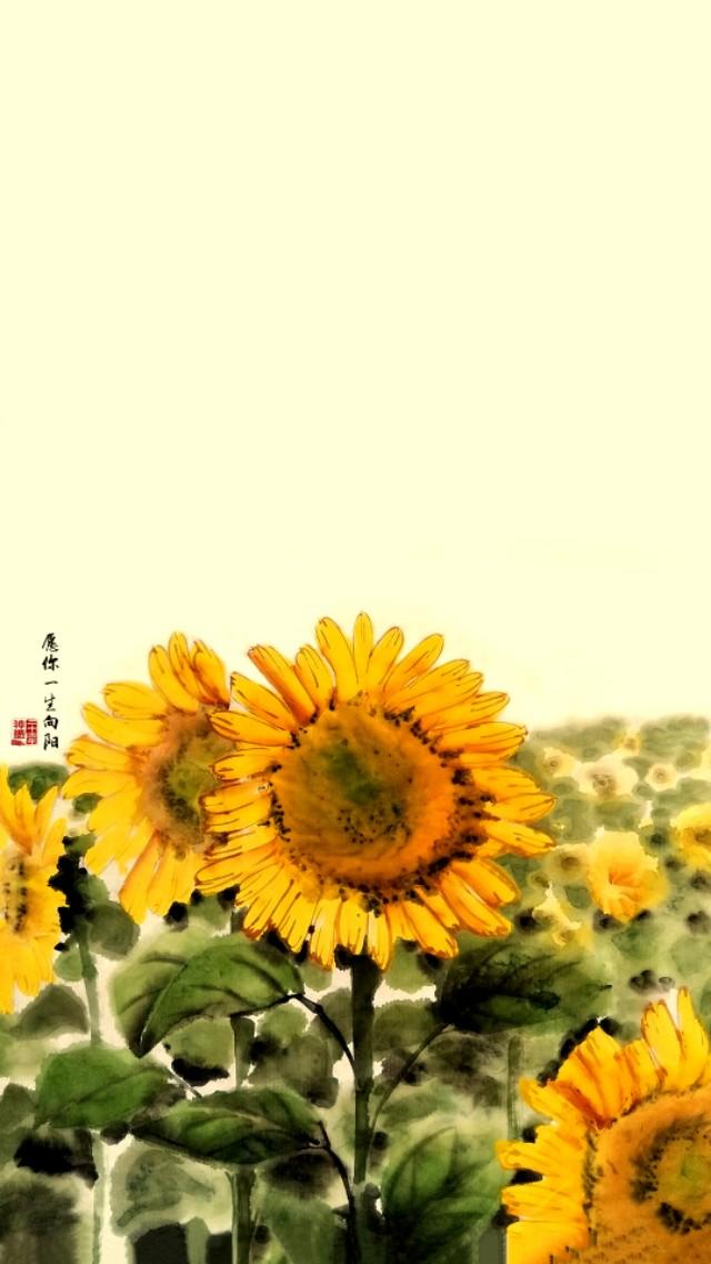 手机主题壁纸向日葵
