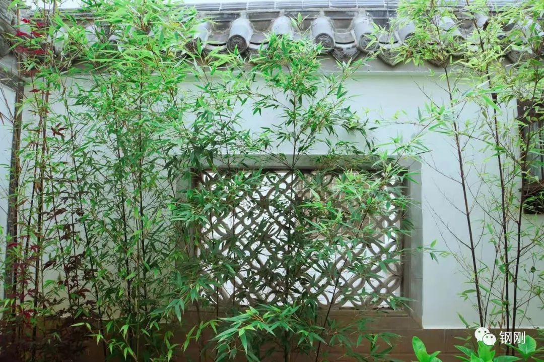 恭喜会理六合竹舍以11486票获得第一名