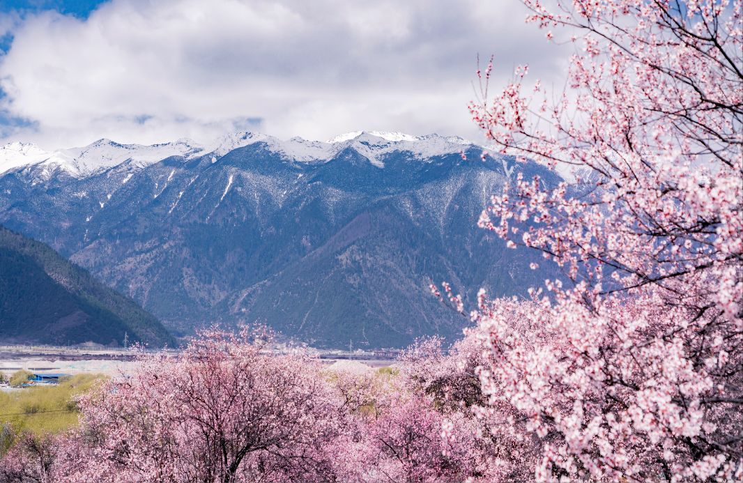 让西藏封神的地方不是拉萨而是她雪山不输瑞士花海秒杀日本