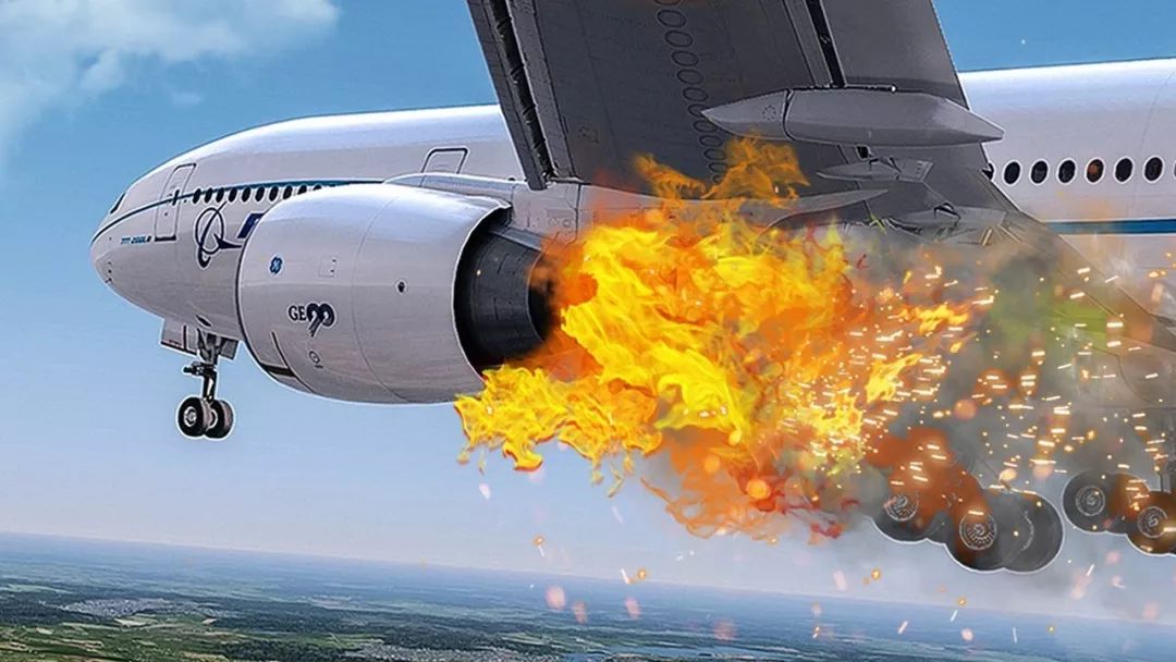 惊加拿大鹅撞上飞机机头开裂引擎爆炸紧急迫降乘客惊魂未定